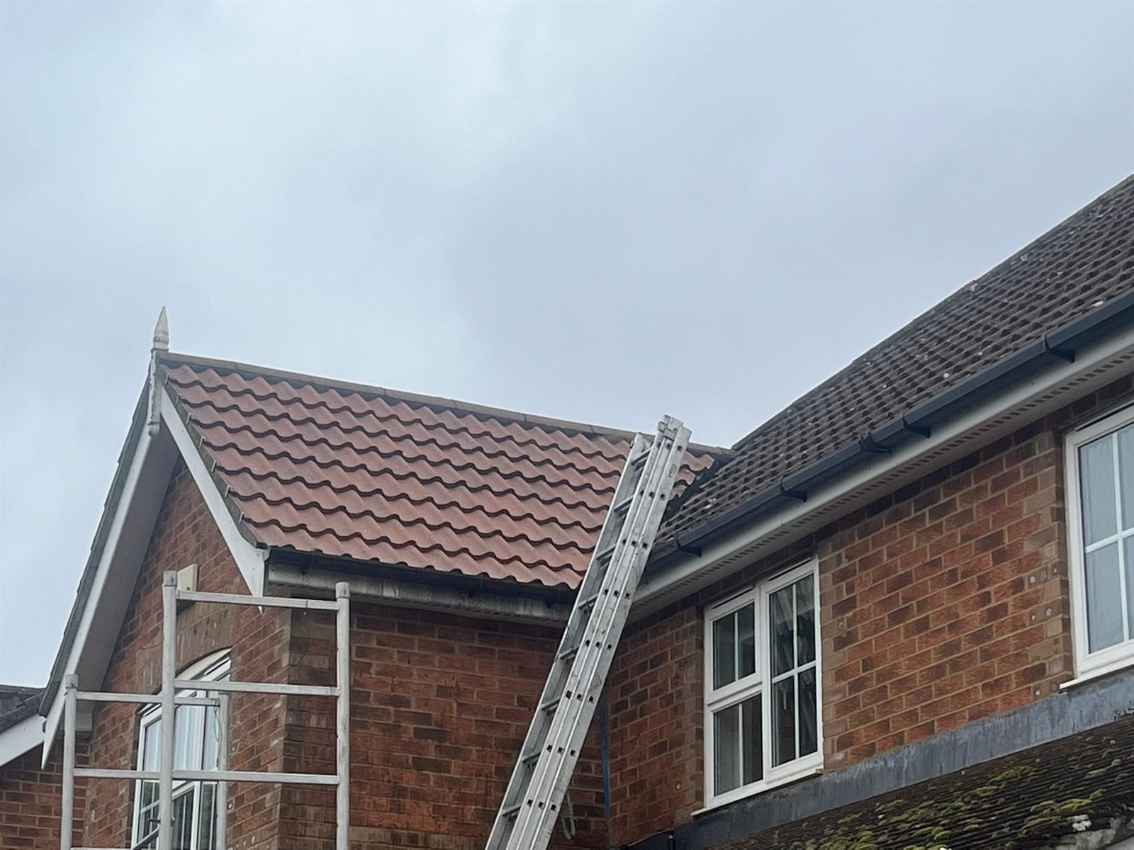 gutter cleaning