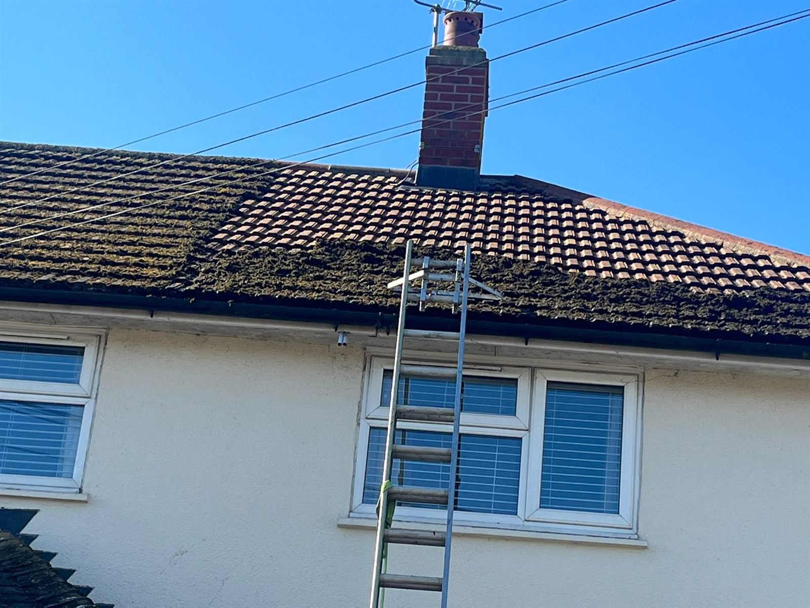 Roof cleaning in progress — moss removed, showing the before and after